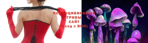 прущие крисы Белая Холуница
