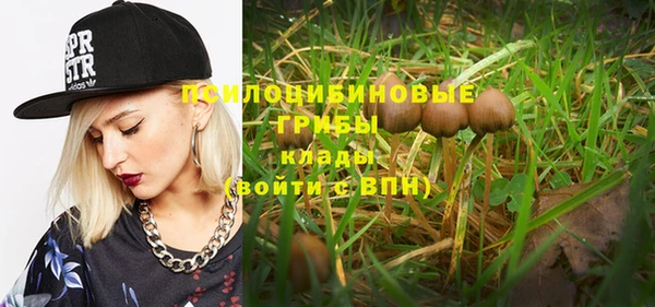 шишки Мегион