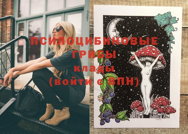 МДПВ Новокубанск